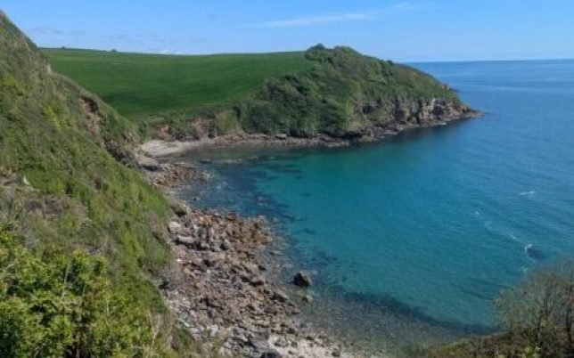 PXL_20250502_121606171